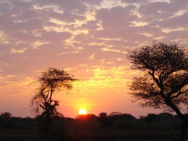 Sunset on safari in Tanzania