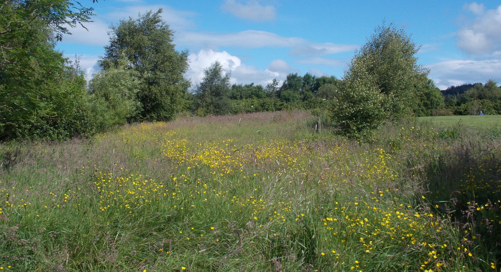 Bonnaughton Park