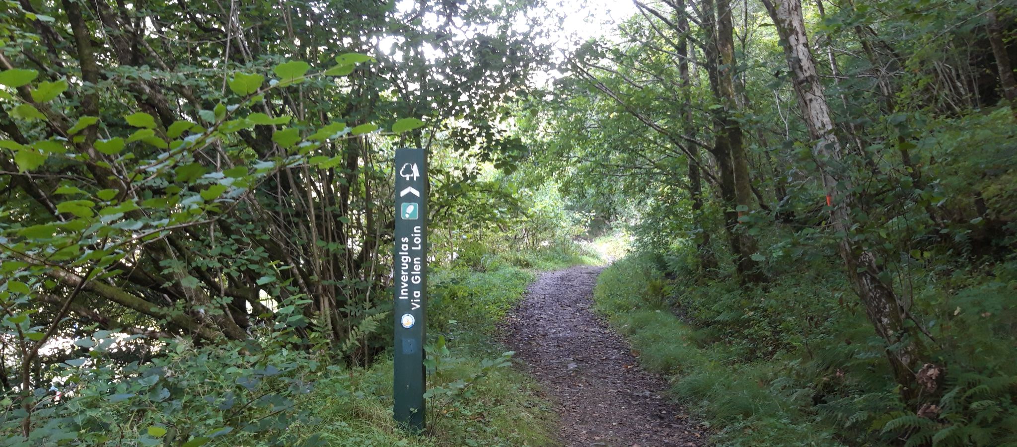 Signpost on the Cowal Way