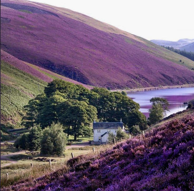 The Howe at Loganlee Reservoir